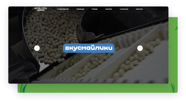 Иллюстрация проекта