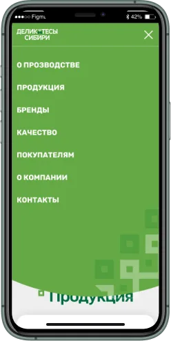 Мобильная версия проекта
