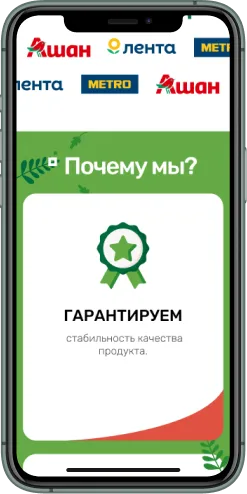 Мобильная версия проекта