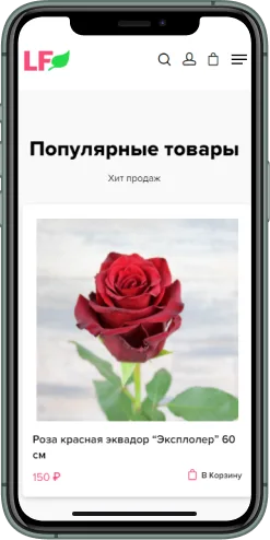 Мобильная версия проекта